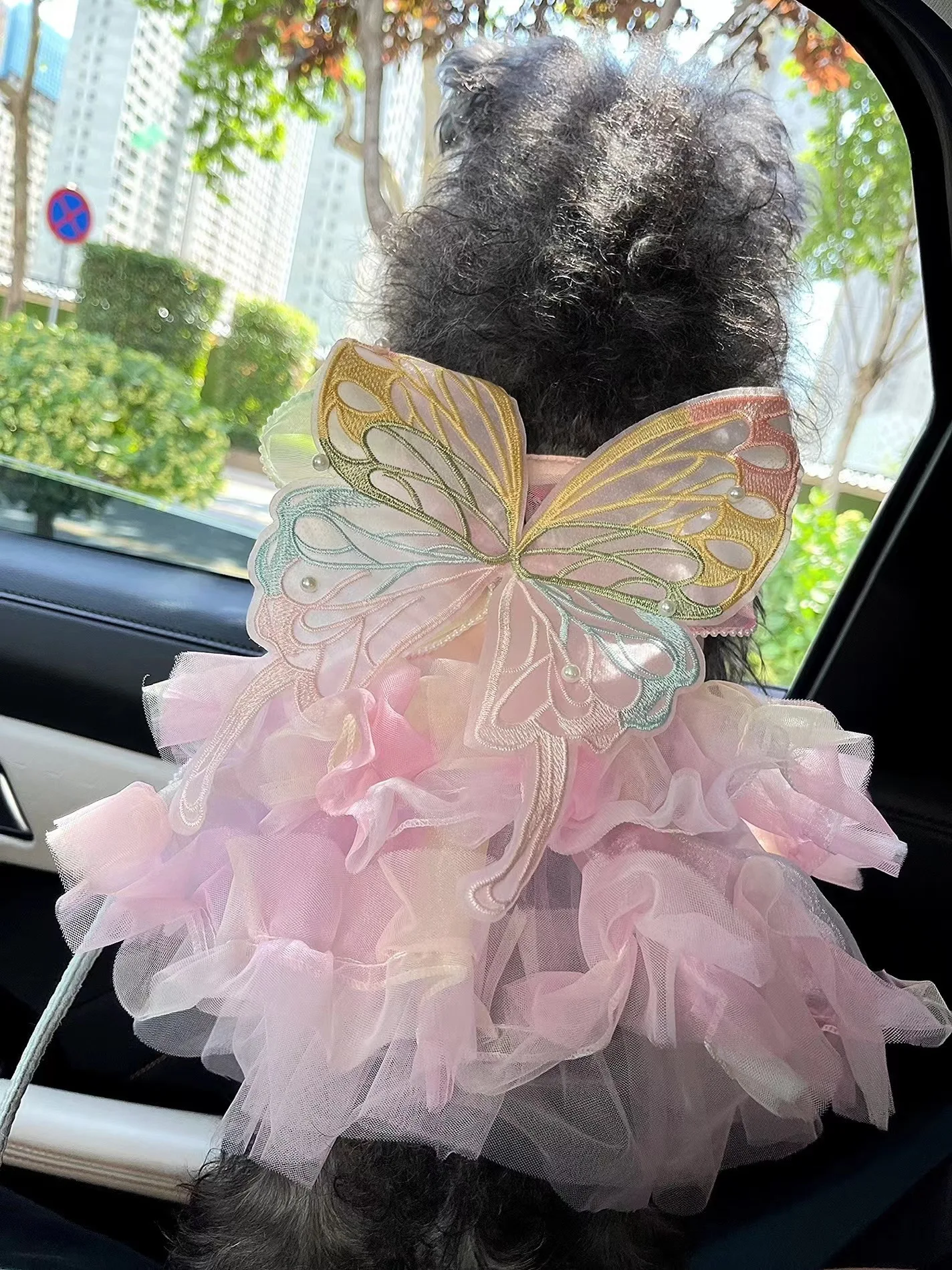 🧁 Petal Princess Wings – Vestido Fantasía para Perritas Chispeantes & Mágicas UwU - Image 19