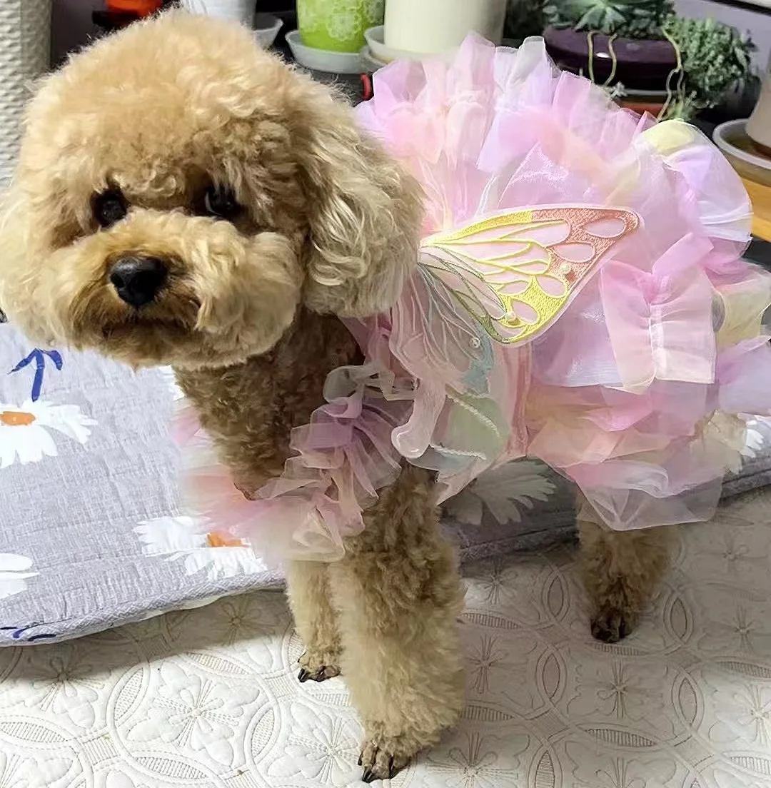 🧁 Petal Princess Wings – Vestido Fantasía para Perritas Chispeantes & Mágicas UwU - Image 18