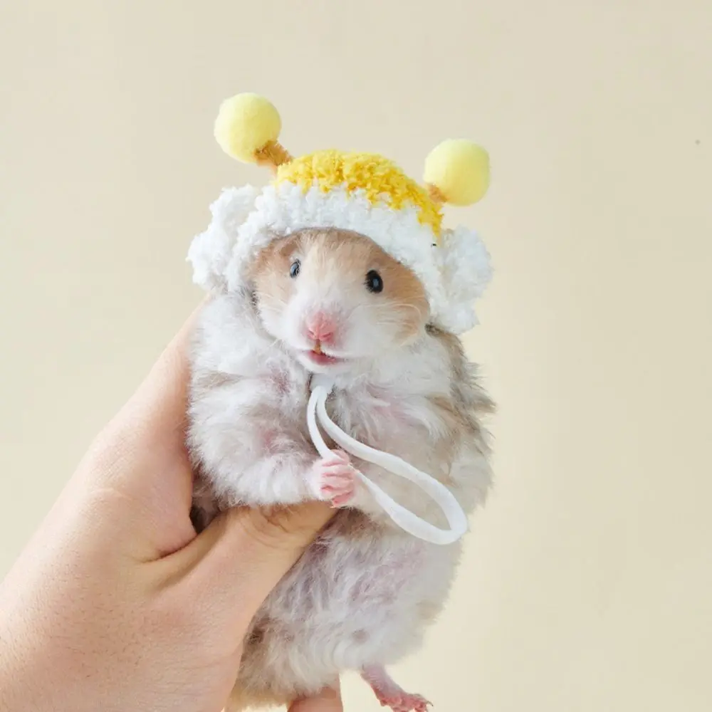 Cute Decorative Hamster Wool Hat Breathable Soft Mini Pet Hat Adjustable Parrot Decoration Hat For Birds Rat Guinea Pig - Image 9