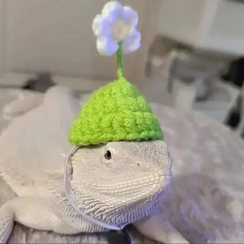 Mini Hamster Hat for Small Animals, Lovely Hand Knitted Hats for Lizard, Guinea Pig, Reptile, Christmas Party Clothes, Costume P - Image 4