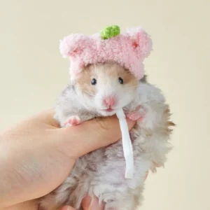 Cute Decorative Hamster Wool Hat Breathable Soft Mini Pet Hat Adjustable Parrot Decoration Hat For Birds Rat Guinea Pig