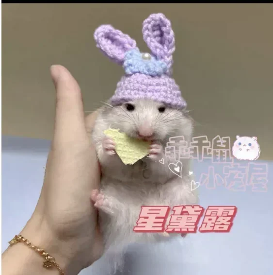 Mini Hamster Hat for Small Animals, Lovely Hand Knitted Hats for Lizard, Guinea Pig, Reptile, Christmas Party Clothes, Costume P - Image 18