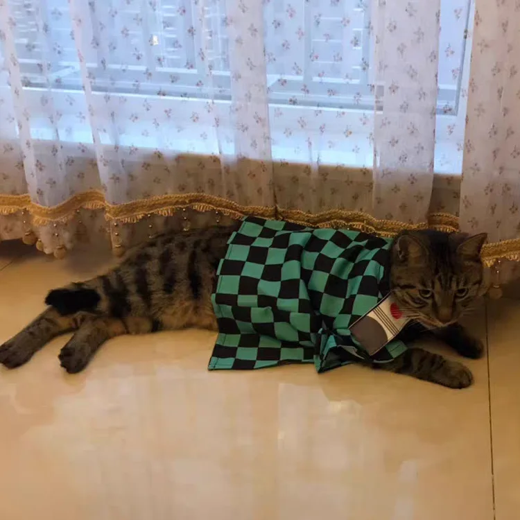 Capa de la Guardiana Mariposa para Gatos. - Image 12