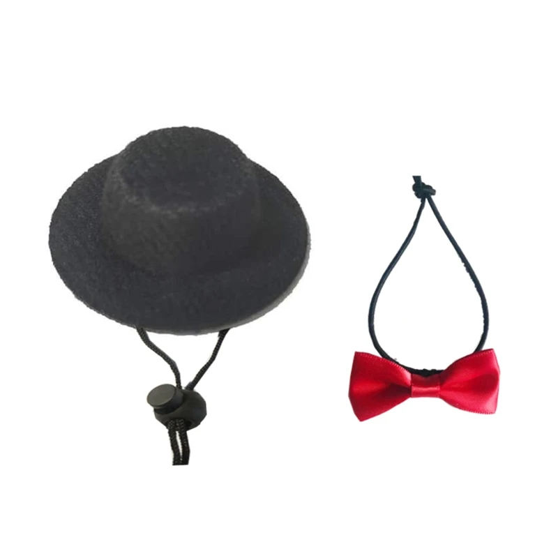 El Conjunto de Gala Kawaii para Reptiles - Image 11