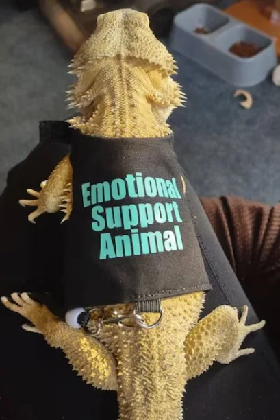 Guardián de la Serenidad para Reptiles de Apoyo - Image 3