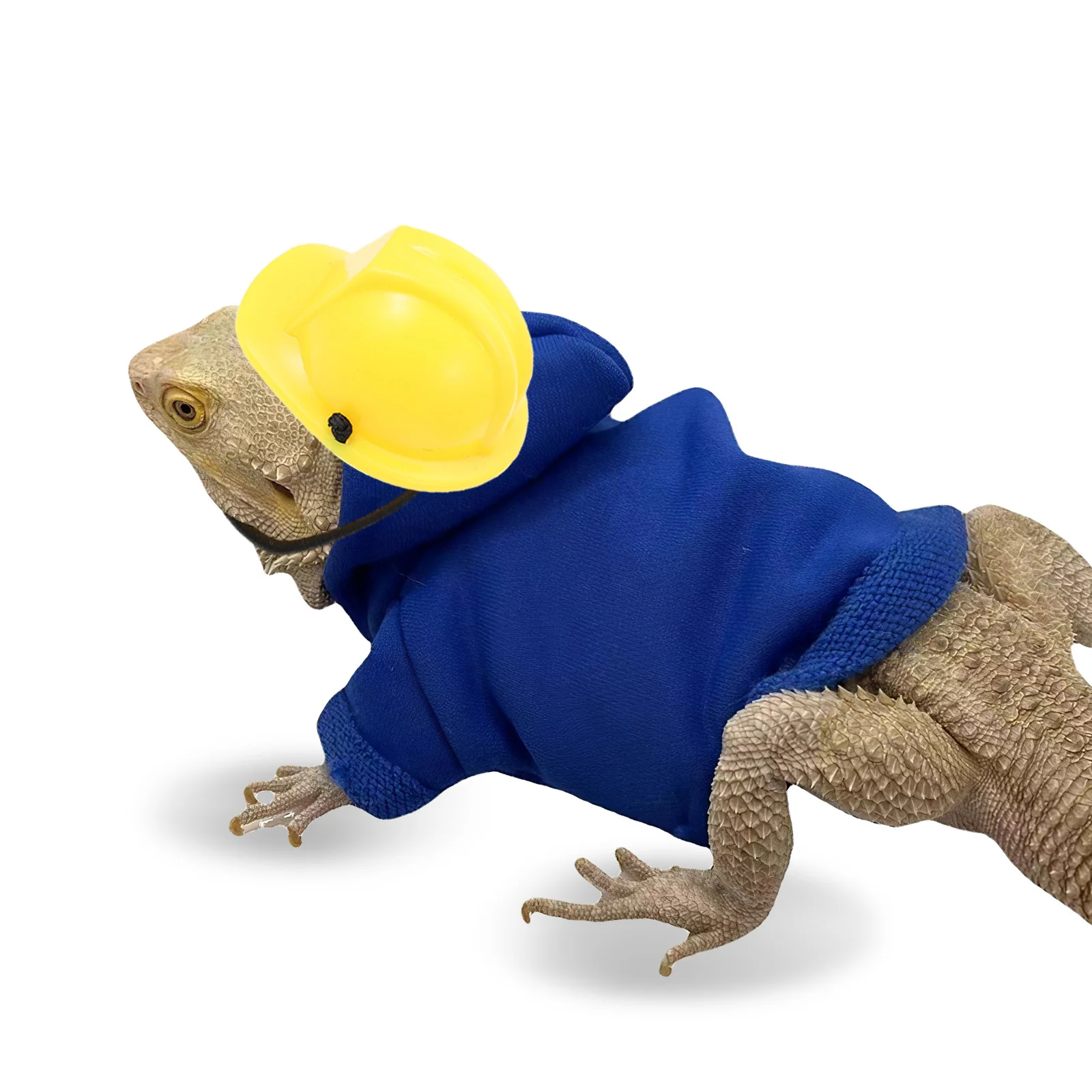 Casco “Jefe de Obra” para Camaleón - Image 3