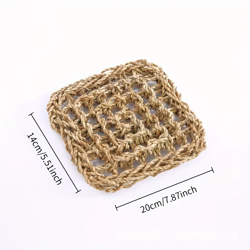 Refugio de los Bosques Ancestrales para Reptiles - Image 8