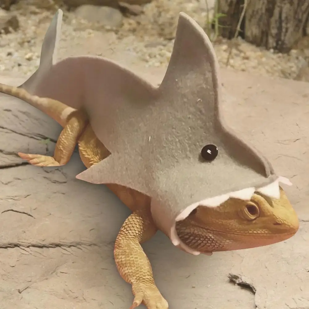 El Gran Tiburón del Desierto: Armadura Kawaii para Reptiles Valientes - Image 4