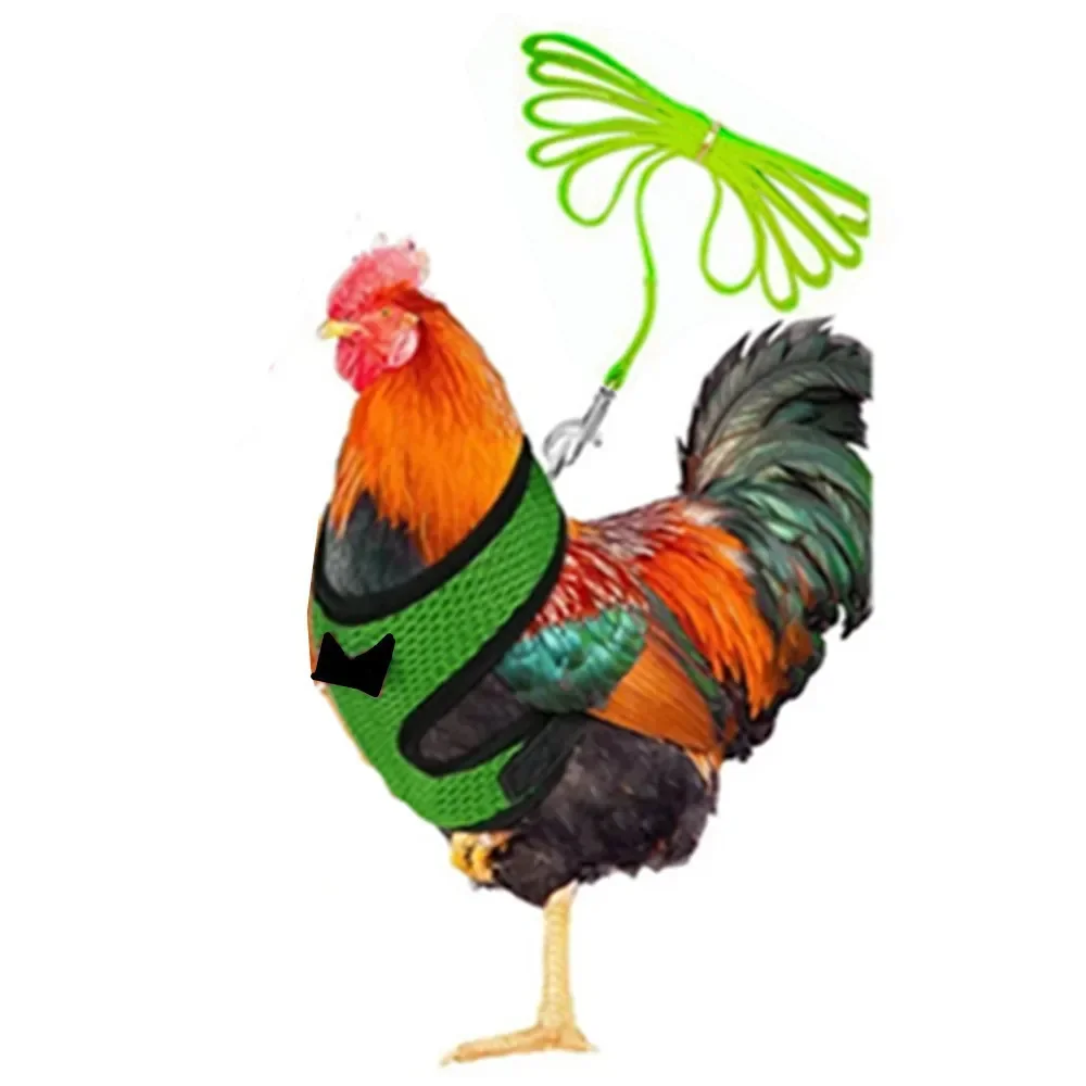 Armadura de Guardián Alado para Gallos - Image 7