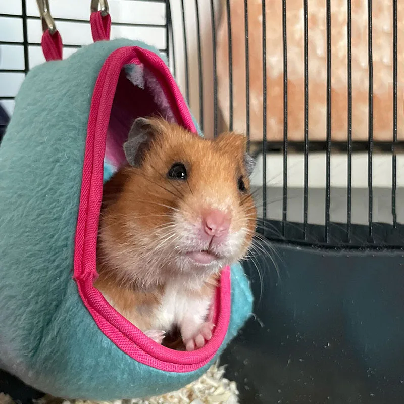 La Tienda Rosa de Aventuras Acogedoras para Tu Pequeño Explorador - Image 6