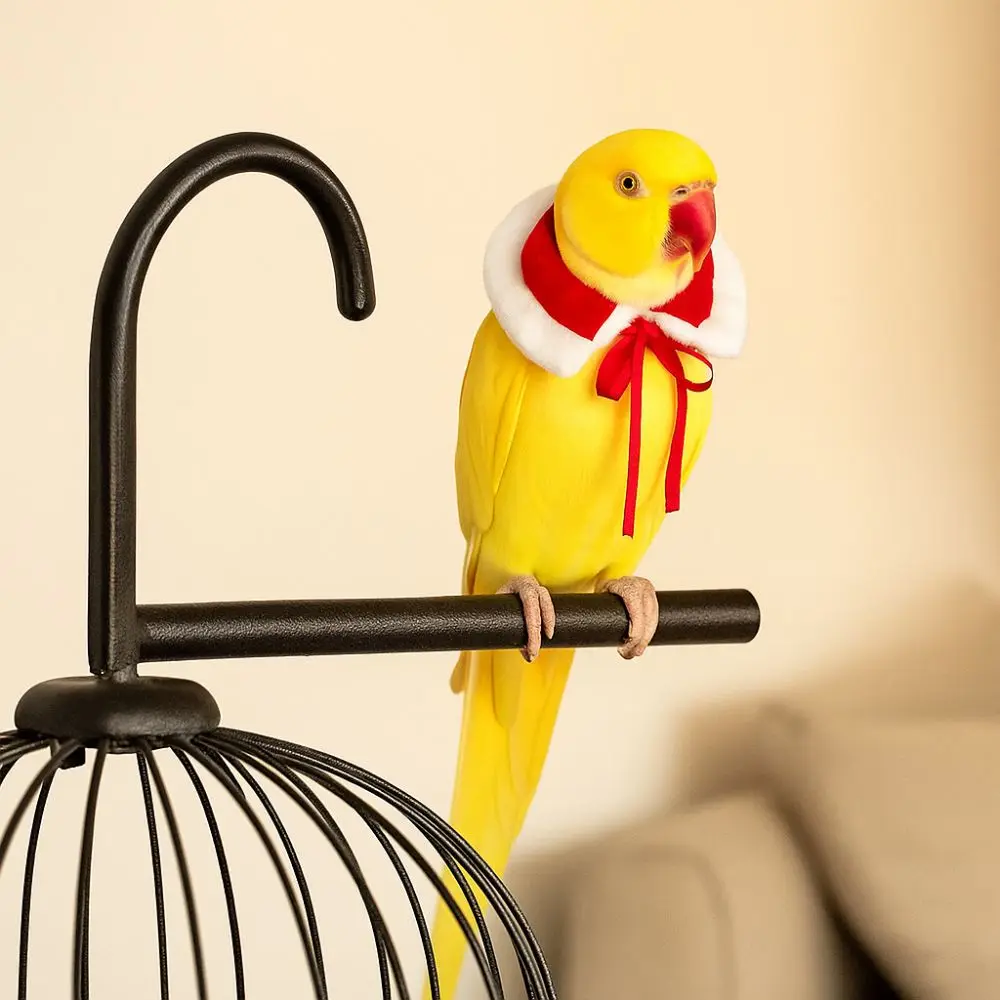 Capa Festiva de Mensajero Invernal para Aves - Image 12