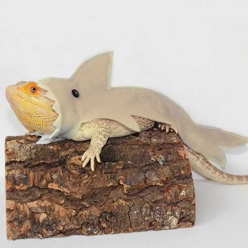El Gran Tiburón del Desierto: Armadura Kawaii para Reptiles Valientes - Image 5