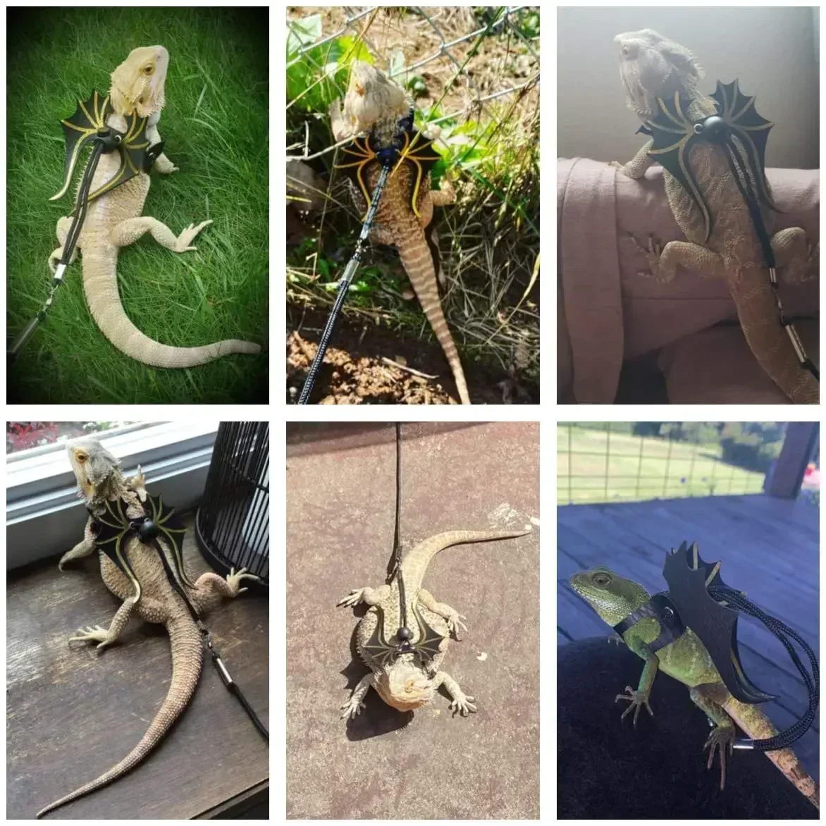 Alas del Soberano Dorado: Arnés SSS para Dragón Barbudo - Image 4