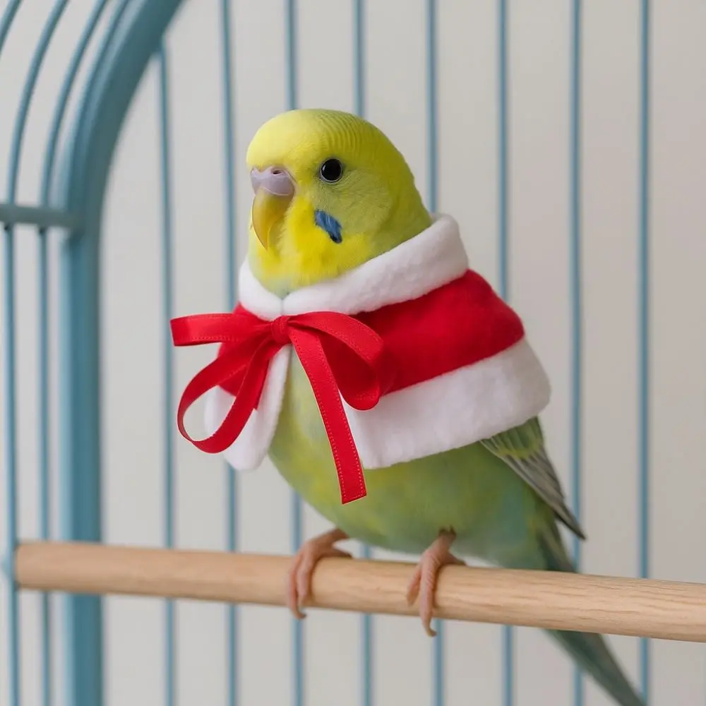 Capa Festiva de Mensajero Invernal para Aves - Image 8