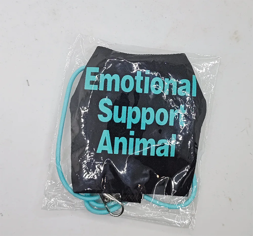 Guardián de la Serenidad para Reptiles de Apoyo - Image 12