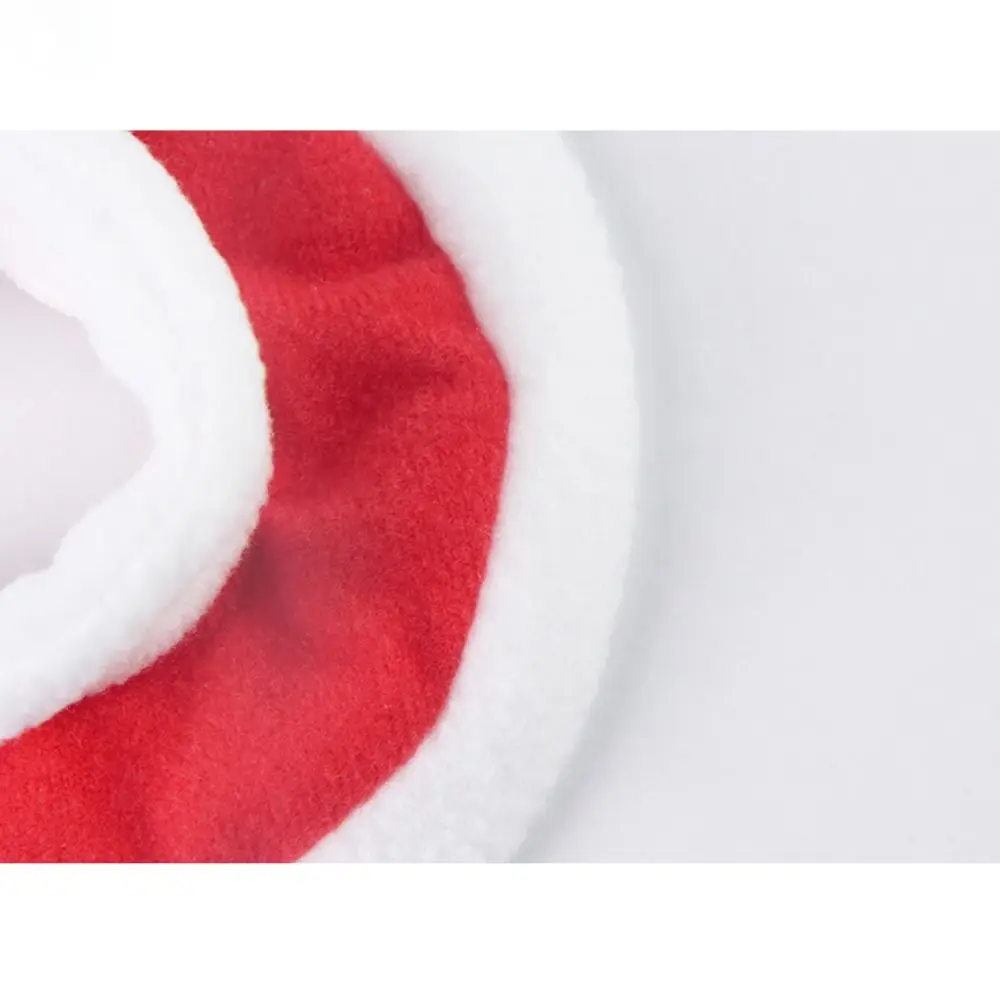 Capa Festiva de Mensajero Invernal para Aves - Image 9