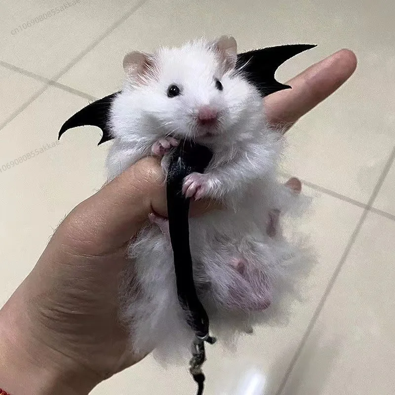 Alas de Soberano del Inframundo: El Despertar de Lord Chinchilla - Image 3