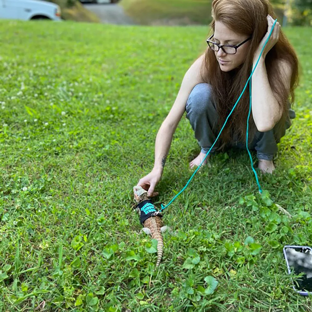 Guardián de la Serenidad para Reptiles de Apoyo - Image 4