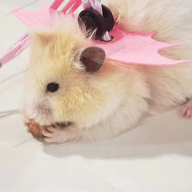 Alas de Soberano del Inframundo: El Despertar de Lord Chinchilla - Image 2