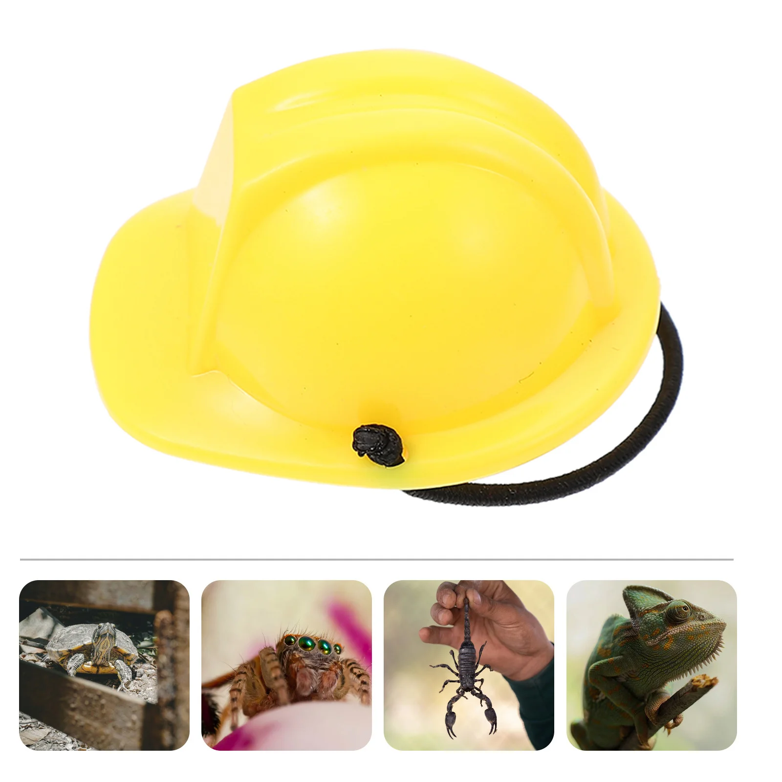 Casco “Jefe de Obra” para Camaleón - Image 2