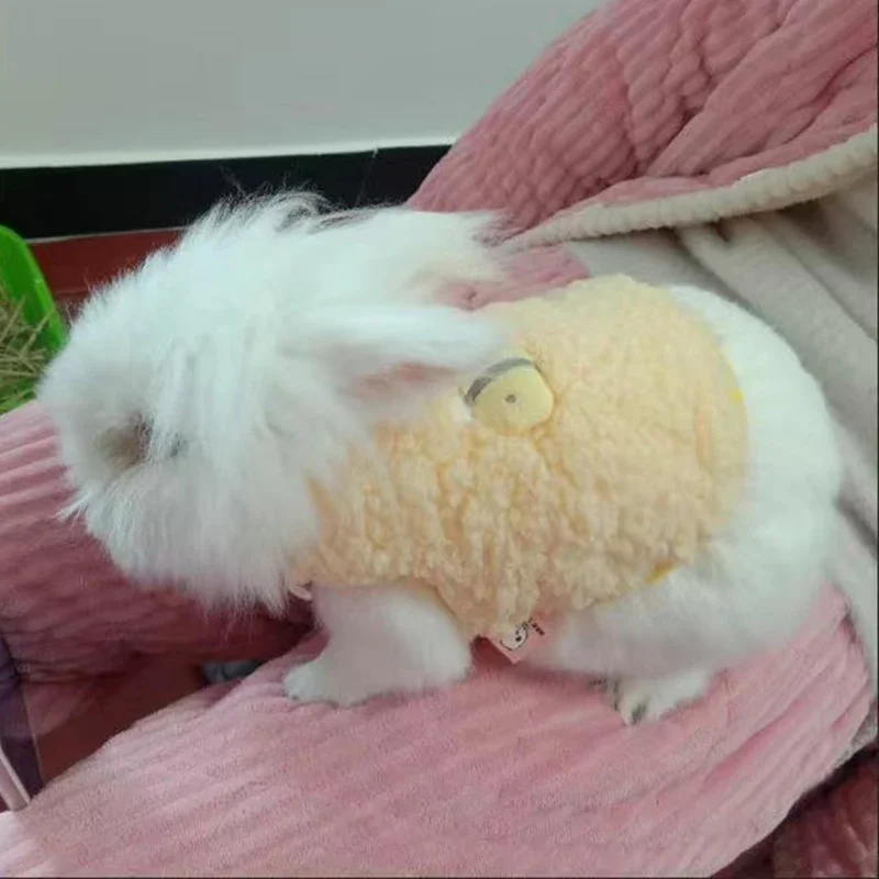 Chaleco de Conejo Guardián de los Sueños de Zanahoria - Image 15