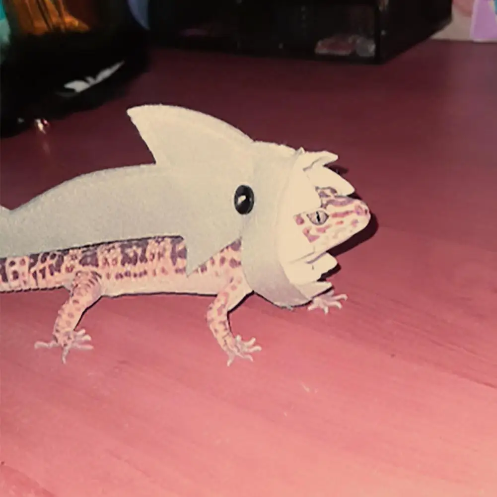 El Gran Tiburón del Desierto: Armadura Kawaii para Reptiles Valientes - Image 7