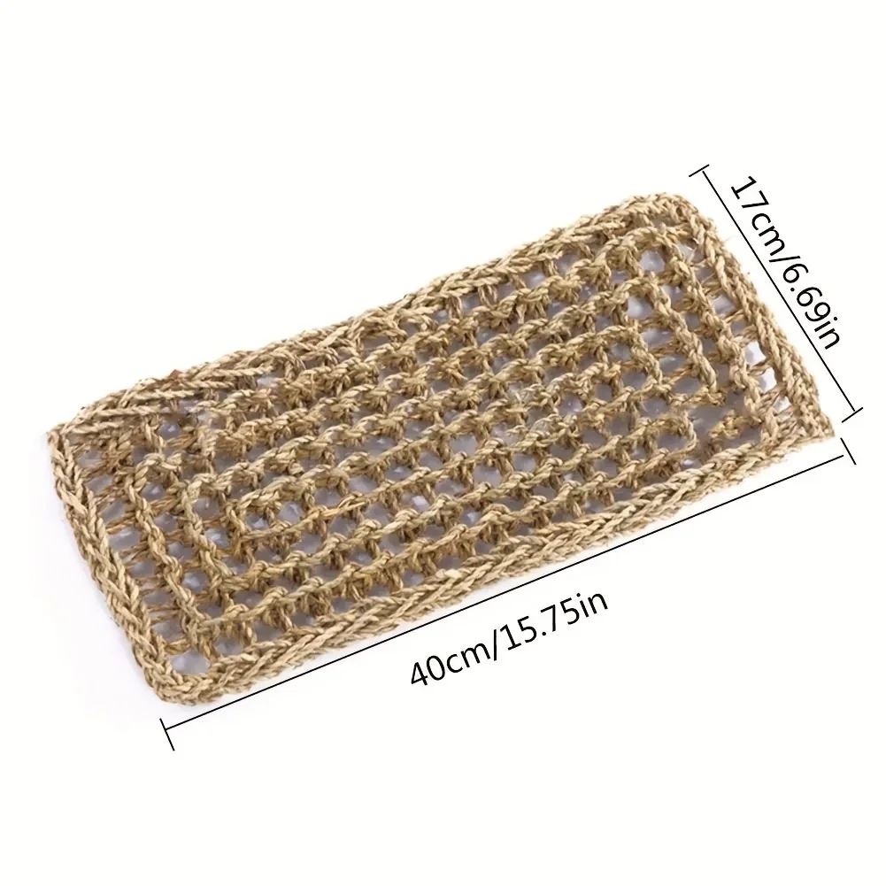 Refugio de los Bosques Ancestrales para Reptiles - Image 5