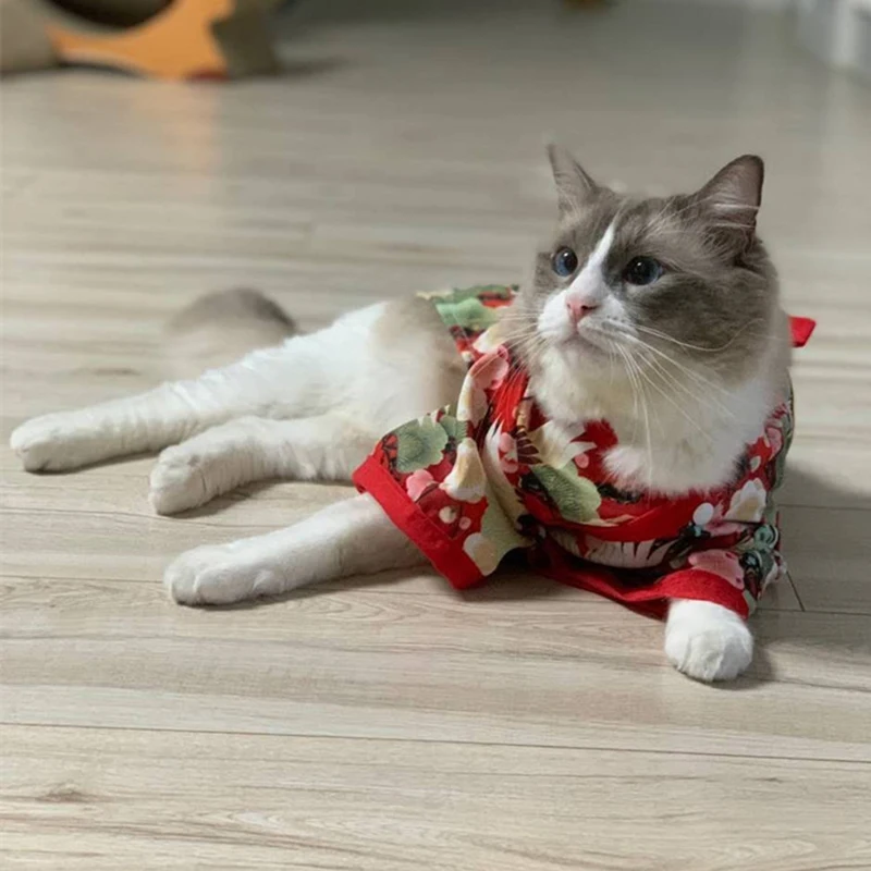 ✨ Kimono “Kamisama Miaujime” – Edición Divina de Primavera 🌸🐱 - Image 14